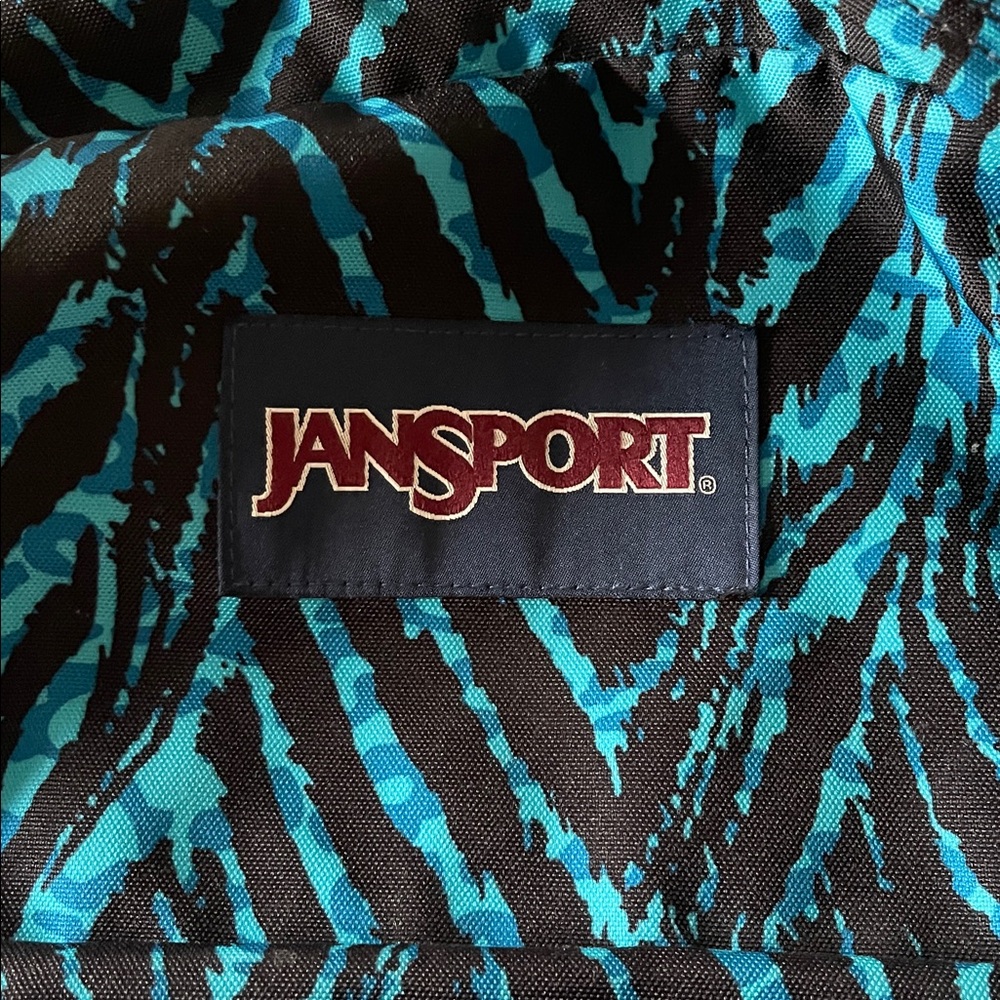 Unisex JanSport light weight Teal and Black Striped Backpack - Picture 4 of 10